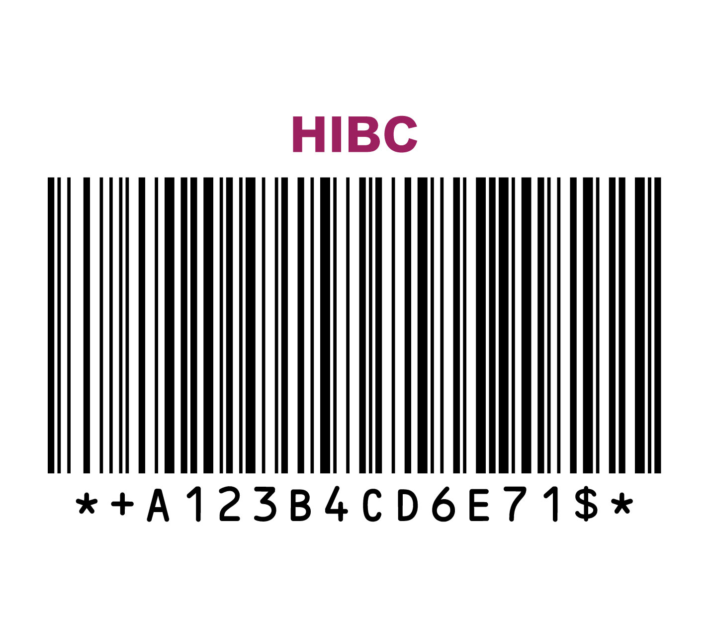 hibc-code-example