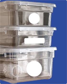Blank-labels-for-organizing