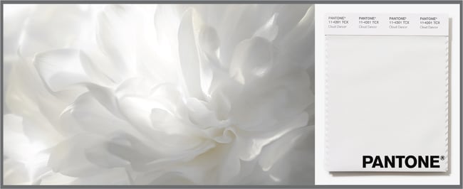 Pantone_cloud-dancer_hero