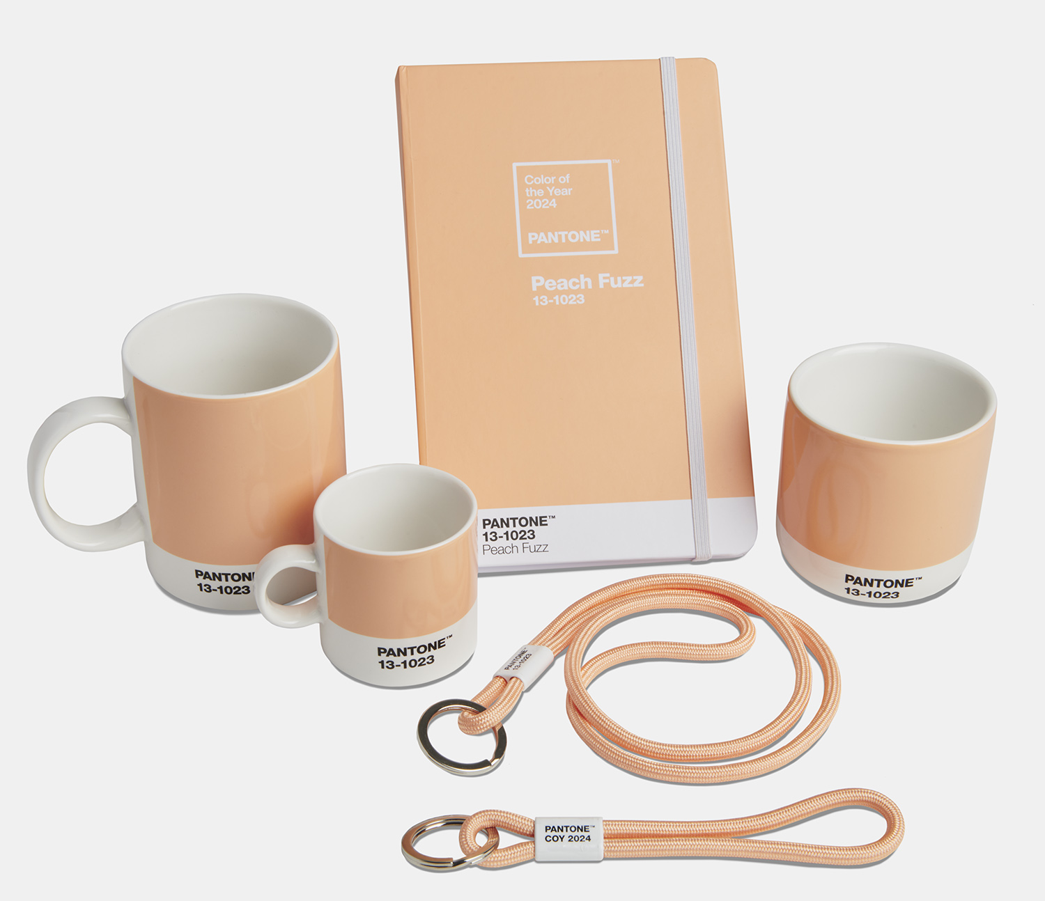 SixB_Pantone_1_group_shot_2