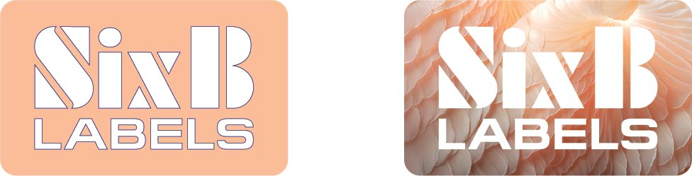 sixb_logo_peach_fuzz_2023-1